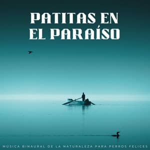 Patitas En El Paraíso: Música Binaural De La Naturaleza Para Perros Felices - Estado de distracción