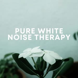 Pure White Noise Therapy - Sleep Diamonds Sounds