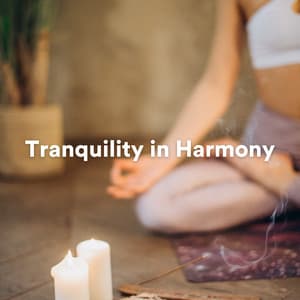 Tranquility in Harmony - Chakra Balancing Sound Therapy