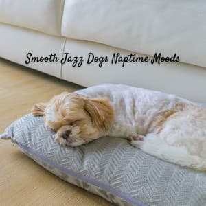 Smooth Jazz Dogs Naptime Moods - Chill Jazz