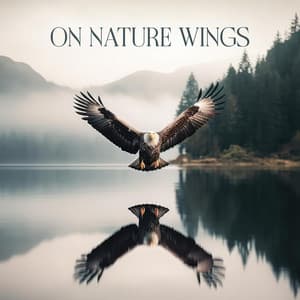 On Nature Wings: Soothing Nature Symphony, Refreshing Purification - Nature Sounds Artists