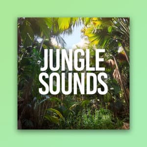 Jungle Sounds - Thunderstorms