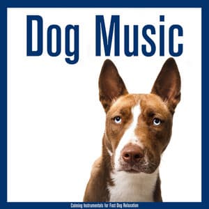 Dog Music: Calming Instrumentals for Fast Dog Relaxation - Dog Music Dreams