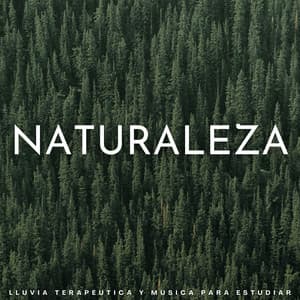 Naturaleza: Lluvia Terapéutica Y Música Para Estudiar - Lluvia Soundzzz Club