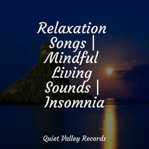 Relaxation Songs | Mindful Living Sounds | Insomnia - Mother Nature Sound FX