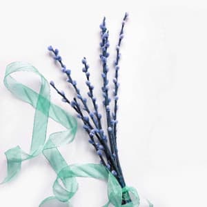 Backdrop for Less Tension - Coffee Table Jazz Radio