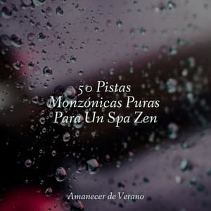 50 Pistas Monzónicas Puras Para Un Spa Zen - Música ambiental relajante