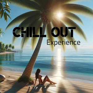 Chill Out Experience: The Ultimate Deep House - DJ Chill Groove