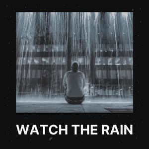 Watch the Rain - Relaxing Rain Sounds
