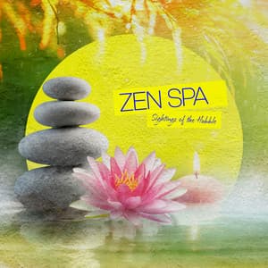 Zen Spa - Sightings of the Hubble