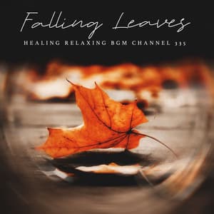 Falling Leaves - Healing Relaxing BGM Channel 335