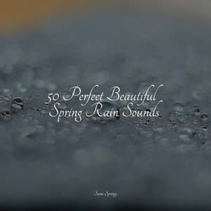 50 Perfect Beautiful Spring Rain Sounds - Pro Sound Effects Library
