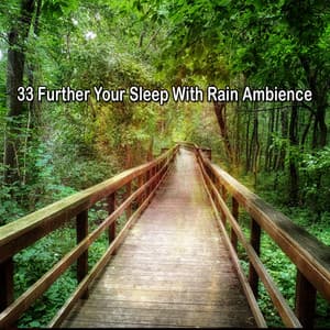 33 Further Your Sleep With Rain Ambience - Rain