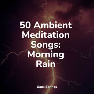 50 Winter Rain Sounds for Sleep and Serenity - Nature Sounds Collection
