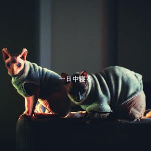 一日中寝る - Early Morning Chill Out Playlist