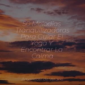 50 Melodías Tranquilizadoras Para Guiar El Yoga Y Encontrar La Calma - Canciones Infantiles de Niños