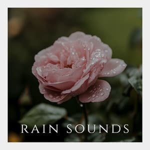 Serene Hum Escape - Rain Sounds For Sleep