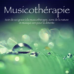 Musicothérapie – Soin de soi grace à la musicothérapie, sons de la nature et musique zen pour la détente - Musique Relaxante Relax