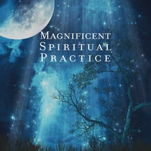 Magnificent Spiritual Practice: Find the Beauty in Yoga Practices, Ethereal Music for Yoga and Meditation, Heal Your Soul and Body and Find Your Zen - Namaste Yoga Collection