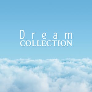 Dream Collection - Lucid Dreaming World-Collective Unconscious Mind