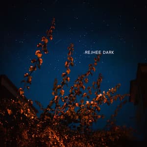 Slow Swing Through Fallen Leaves - Rejhee Dark