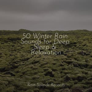 50 Winter Rain Sounds for Deep Sleep & Relaxation - Rain For Deep Sleep