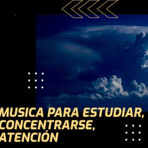 Musica Para Estudiar, Concentrarse, Atención - Prince Sereno