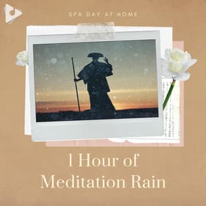 1 Hour of Meditation Rain - Spa Day At Home
