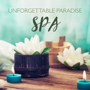 Unforgettable Paradise SPA: Relaxing Massage Music, In Harmony with Nature, Stream and Power of Water - Best Piano Bar Ultimate Collection