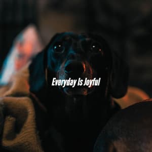 Everyday Is Joyful - Musik zum Kochen