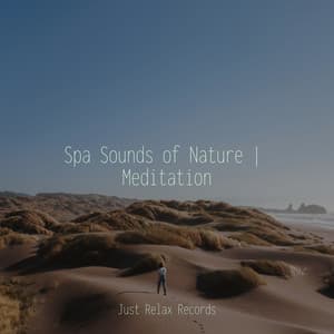 Spa Sounds of Nature | Meditation - Deep Sleep Meditation