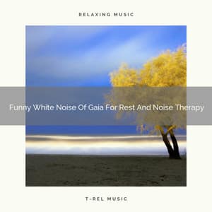 Funny White Noise Of Gaia For Rest And Noise Therapy - Forest Soundscapes