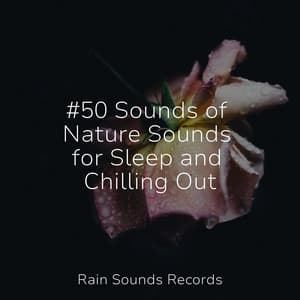 #50 Sounds of Nature Sounds for Sleep and Chilling Out - Sounds Of Nature : Thunderstorm, Rain