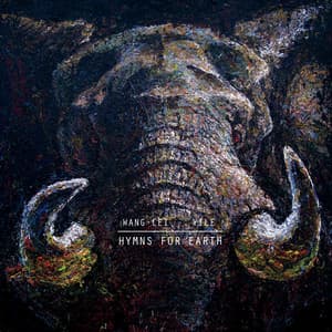 Hymns For Earth - Wang Lei