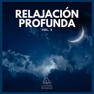 Relajación Profunda Vol. 2 - Lluvia Del Bosque