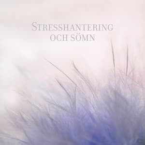 Stresshantering och sömn: Fantastisk avkopplande musik bra för ditt sinne, Meditation och rekreation - Lugn Musik Atmosfär