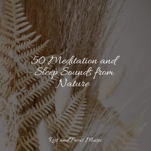 50 Meditation and Sleep Sounds from Nature - Zen Meditate