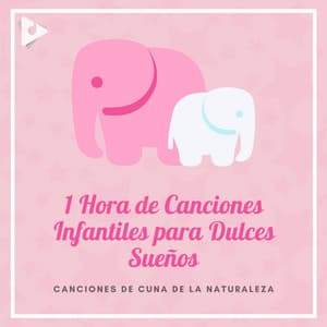 1 Hora de Canciones Infantiles para Dulces Sueños - Canciones de Cuna de la Naturaleza