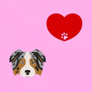 Feelings for Doggy Discoveries - Sleepy Dogs