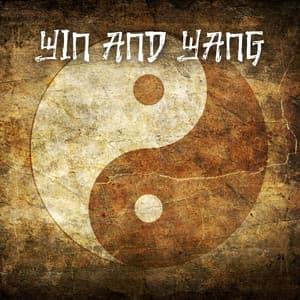 Yin and Yang: Bring Equilibrium to Your Body - Chinese Relaxation and Meditation