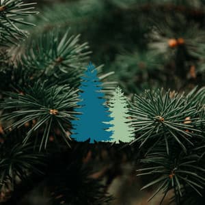 Jingle Bells Jamboree - The Christmas Guys