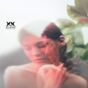 Entre as Raízes e a Luz do Corpo - Relaxar Meditação Clube