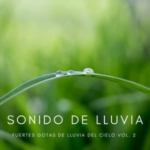 Sonido De La Lluvia: Fuertes Gotas De Lluvia Del Cielo Vol. 2 - Reiki Consorte de Curación