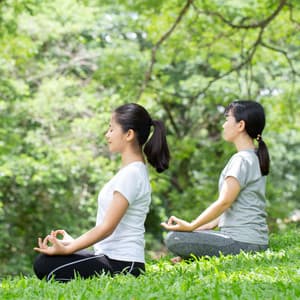 Mindful Melodies in Piano Rain Meditation - Instrumental Music Academy