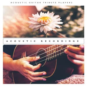 Acoustic Recordings - Acoustic Guitar Tribute Players