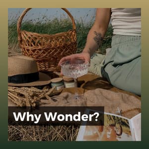 Why Wonder? - Lullabies for Deep Meditation