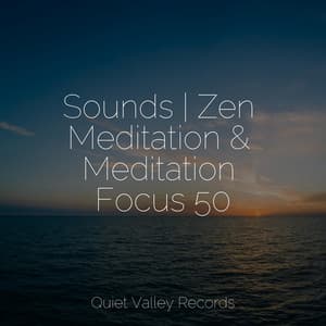 Sounds | Zen Meditation & Meditation Focus 50 - Yoga Trainer