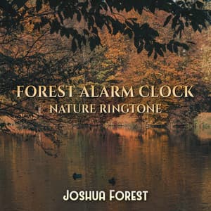 Forest Alarm Clock: Nature Ringtone – Singing Birds, Forest Sounds & Rain - Joshua Forest