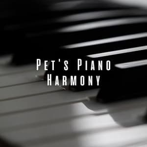 Pet's Piano Harmony: Mellow Melodies for Joyful Moments - Jazz Piano Essentials
