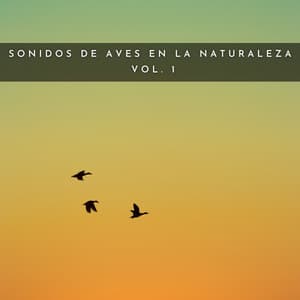 Sonidos De Aves En La Naturaleza Vol. 1 - Relajante